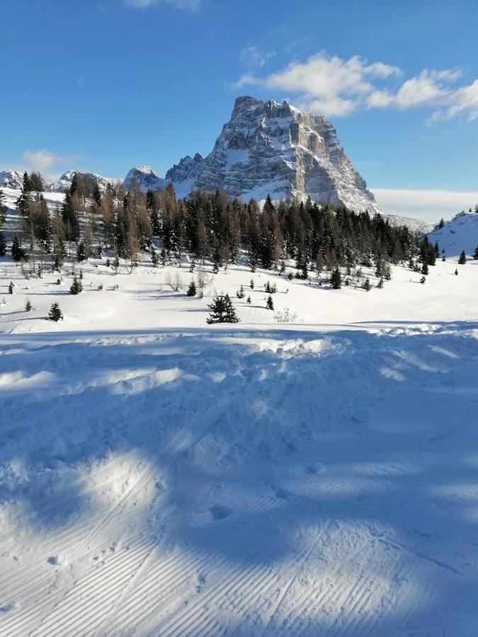 Appartamento Alto Cordevole Colle Santa Lucia Exterior photo